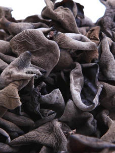 長白山野生黑木耳 長白山野生黑木耳