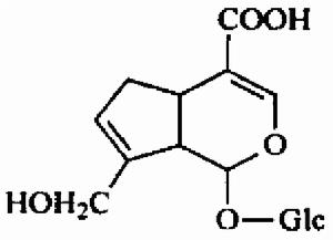 京尼平苷酸 京尼平苷酸