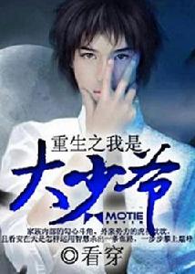 重生之我是大少爺 重生之我是大少爺