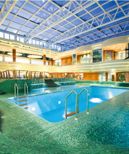 游泳池[進行游泳運動的場地]