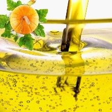 南瓜子油 南瓜子油