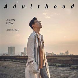 無法理解的大人 無法理解的大人