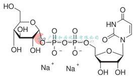 二磷酸尿苷葡糖 二磷酸尿苷葡糖