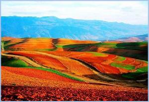 紅土高原 紅土高原