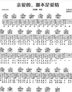 《親愛的那不是愛情》 《親愛的那不是愛情》