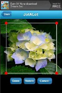 掃描檔案 掃描檔案