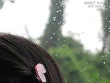 著頭飾飾品的星鈴丹