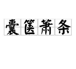 囊篋蕭條 囊篋蕭條