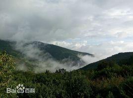 新立村[雲南大理州巍山縣紫金鄉下轄村]