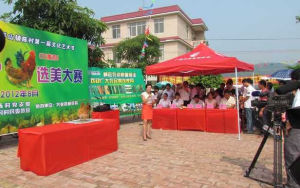 三黃雞“選美大賽” 三黃雞“選美大賽”