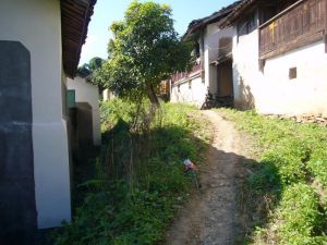 上溫東自然村 上溫東自然村