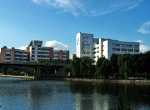 螺絲山青年公園 螺絲山青年公園