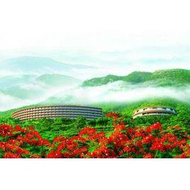 梅州雁南飛茶田景區 梅州雁南飛茶田景區