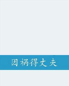 因禍得丈夫 因禍得丈夫