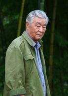 一樹一樹紫花開