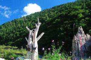 河北白草窪國家森林公園 河北白草窪國家森林公園