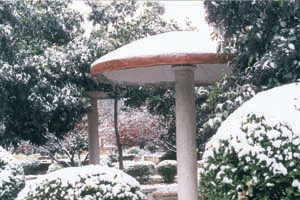 徐州建築職業技術學院