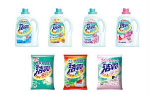 衣物洗滌及家居清潔用品事業