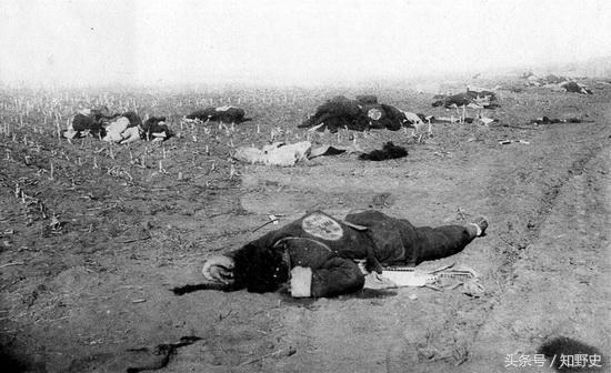 他嗜血成癖 被稱為東方“希特勒”,曾造成遼東一度成為無人區! 他嗜血成癖 被稱為東方“希特勒”,曾造成遼東一度成為無人區!