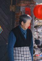 老伴[2008年孫皓執導電視劇]