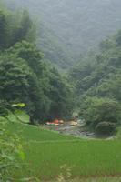 西安鎮[湖南省桃源縣西安鎮]