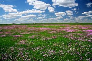 灤河源國家森林公園 灤河源國家森林公園