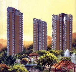 泉南國際新城 泉南國際新城