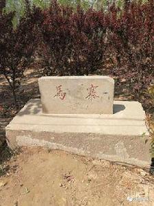 馬寨村[山東聊城市冠縣崇文區下轄村]