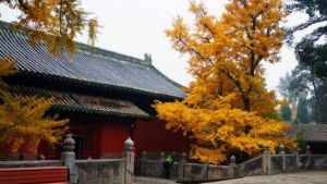 北京香岩寺 北京香岩寺