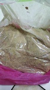 天價石斛 天價石斛