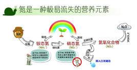 硝化抑制劑 硝化抑制劑
