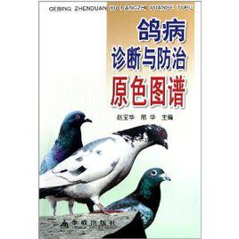 鴿病診斷與防治原色圖譜