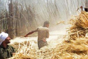 米努夫省 米努夫省