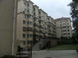 銀鷗山莊 銀鷗山莊