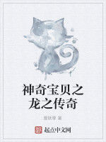 神奇寶貝之龍之傳奇 神奇寶貝之龍之傳奇