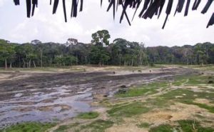 馬諾沃-貢達聖弗洛里斯國家公園 馬諾沃-貢達聖弗洛里斯國家公園