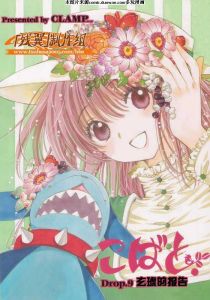 小鳩Drop 小鳩Drop