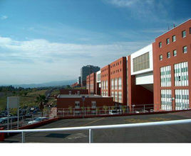 義大利卡拉布里亞大學 義大利卡拉布里亞大學