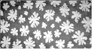 布魯斯特角顯微鏡下的Langmuir-Blodgett膜