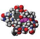 蛋白質[生命的物質基礎]