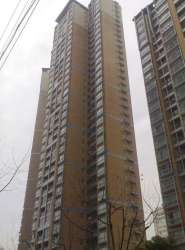 明日星城世紀星 明日星城世紀星