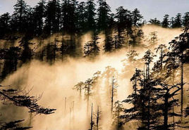 四川瓦屋山國家森林公園 四川瓦屋山國家森林公園