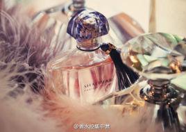 真正的強 真正的強