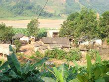 八堡村[雲南省紅河州金平縣老勐鄉下轄村]