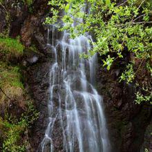 那拉提[新疆伊犁景區]