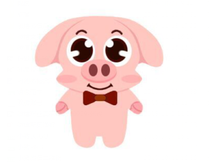 武漢小豬科技有限公司 武漢小豬科技有限公司