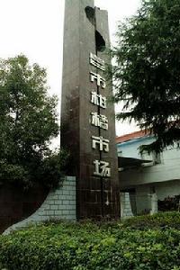 皂市鎮[湖南省石門縣皂市鎮]