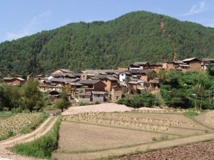 則則租村 則則租村