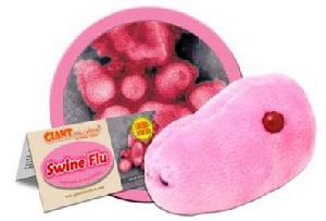 甲流病毒毛絨模型玩具