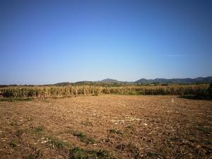 李灣村[河南桐柏縣安棚鄉下轄村]